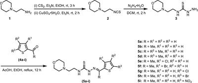 Exploration of morpholine-thiophene hybrid thiosemicarbazones for the treatment of ureolytic bacterial infections via targeting urease enzyme: Synthesis, biochemical screening and computational analysis